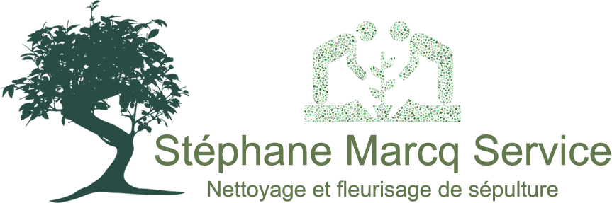 Amas schenone avocat